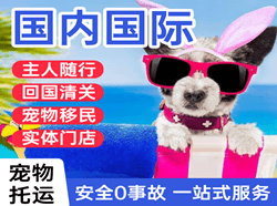 喀什徕宁空运公司国际宠物托运 【国